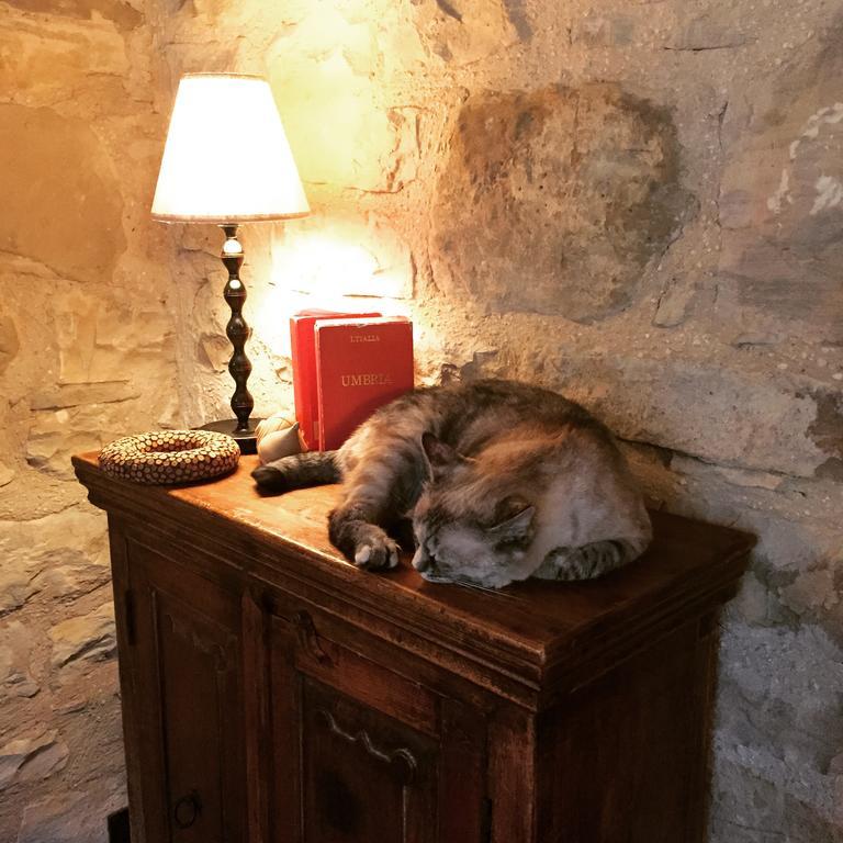 Agriturismo La Corte Del Lupo Ночера-Умбра Екстер'єр фото